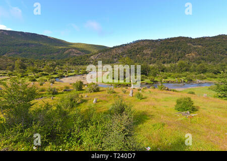 Paesaggio naturale, del flusso in Fireland, parco nazionale Tierra del Fuego, Argentina Foto Stock