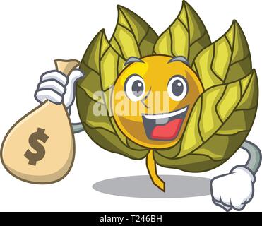 Con denaro borsa physalis frutto in una ciotola cartoon Illustrazione Vettoriale