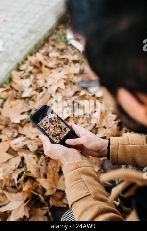Close-up di uomo prendendo cellulare foto di foglie di autunno Foto Stock