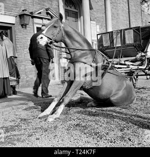 La vita e le avventure di Nicola Nickleby (1947) Data: 1947 Foto Stock