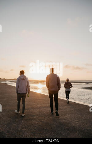 La Namibia, Walvis Bay, vista posteriore di tre amici di camminare sulla spiaggia al tramonto Foto Stock