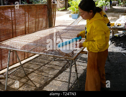 Battambang, Cambogia. Una donna getta il cucinato al momento e ancora bagnato, carta di riso su un telaio ad asciugare al sole. 10-12-2018 Foto Stock