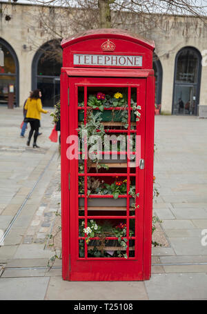 Bagno, Somerset, Regno Unito, 22 febbraio 2019, riproposte vecchio telefono rosso box si è trasformata in uno spazio per fiori Foto Stock