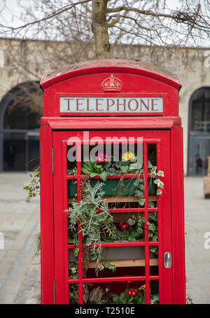 Bagno, Somerset, Regno Unito, 22 febbraio 2019, riproposte vecchio telefono rosso box si è trasformata in uno spazio per fiori Foto Stock