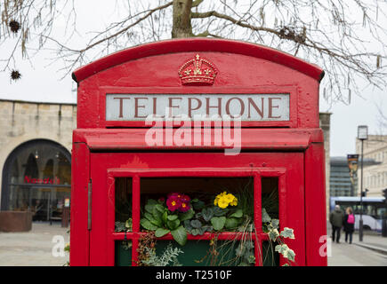 Bagno, Somerset, Regno Unito, 22 febbraio 2019, riproposte vecchio telefono rosso box si è trasformata in uno spazio per fiori Foto Stock