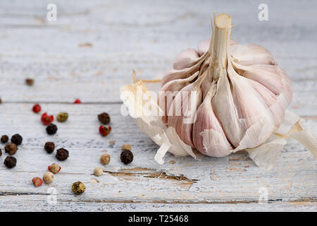 Fresco intero BULBO Aglio sul pannello di legno Foto Stock