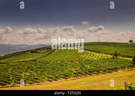 Santa Vittoria d'Alba Village, vigneti e paesaggio di campagna in Piemonte. Alba Piemonte, Italia Europa. Foto Stock