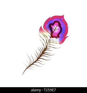 Brillante piuma esotici con strisce colorate su bianco Illustrazione Vettoriale