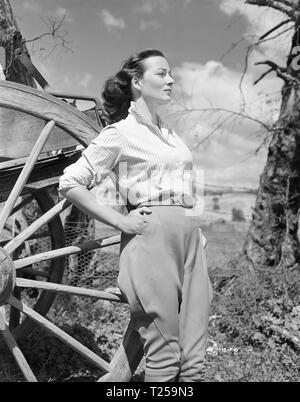 Il Shiralee (1957) Rosemary Harris, Data: 1957 Foto Stock
