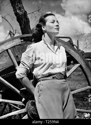 Il Shiralee (1957) Rosemary Harris, Data: 1957 Foto Stock
