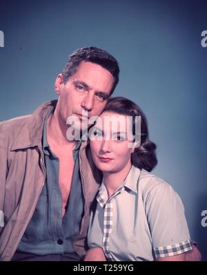 Il Shiralee (1957) Peter Finch, Rosemary Harris, Data: 1957 Foto Stock