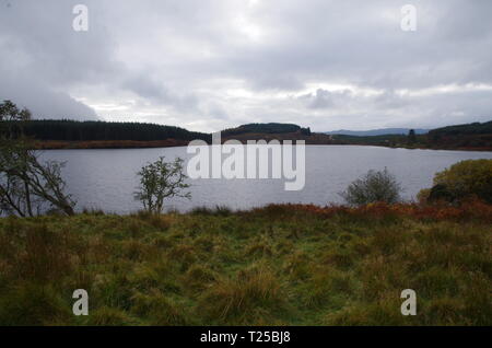 Loch Asgog. Il Loch Lomond e Cowal modo. Cowal peninsula. Highlands. La Scozia. Regno Unito Foto Stock