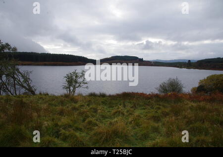 Loch Asgog. Il Loch Lomond e Cowal modo. Cowal peninsula. Highlands. La Scozia. Regno Unito Foto Stock