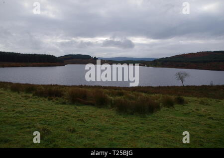 Loch Asgog. Il Loch Lomond e Cowal modo. Cowal peninsula. Highlands. La Scozia. Regno Unito Foto Stock