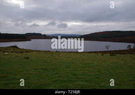 Loch Asgog. Il Loch Lomond e Cowal modo. Cowal peninsula. Highlands. La Scozia. Regno Unito Foto Stock