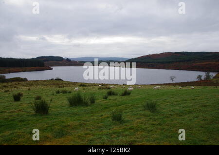 Loch Asgog. Il Loch Lomond e Cowal modo. Cowal peninsula. Highlands. La Scozia. Regno Unito Foto Stock