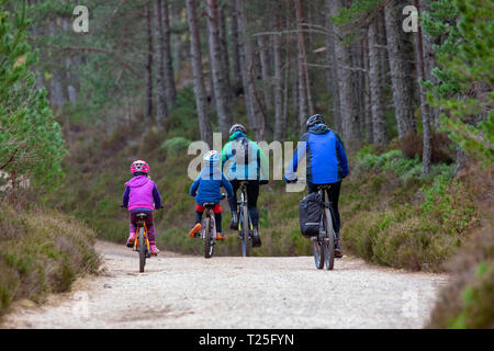 I ciclisti in bicicletta lungo la strada forestale in Glenmore Forest Park nel Parco Nazionale di Cairngorms durante la molla a secco Meteo Aviemore Scozia, Regno Unito Foto Stock