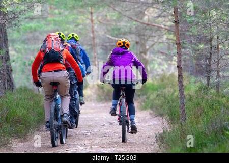 I ciclisti in bicicletta lungo la strada forestale in Glenmore Forest Park nel Parco Nazionale di Cairngorms durante la molla a secco Meteo Aviemore Scozia, Regno Unito Foto Stock