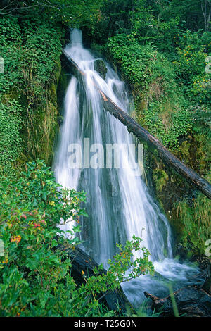 Macarena cascata a Tierra del Fuego parco nazionale Tierra del Fuego, Argentina Foto Stock