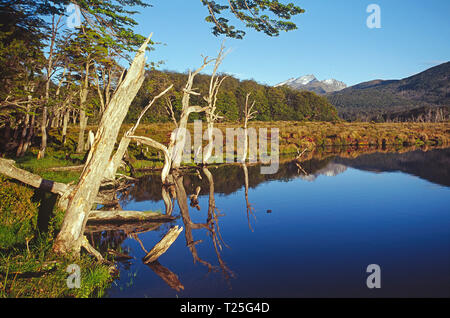 Beaver lago a Ushuaia, Tierra del Fuego, Patagonia, Argentina Foto Stock