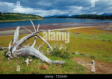 Beaver lago a Ushuaia, Tierra del Fuego, Patagonia, Argentina Foto Stock