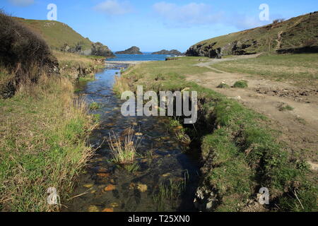 Porth Mear, North Cornwall, England, Regno Unito Foto Stock