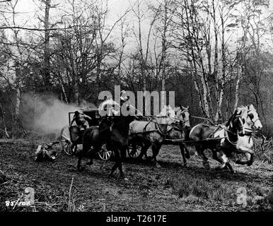 La Scarlet lama (1963) Data: 1963 Foto Stock