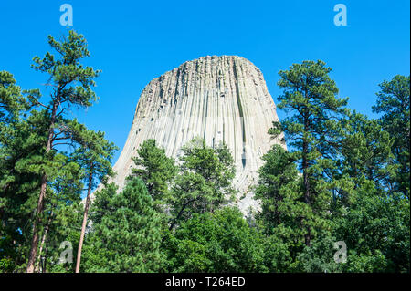 Stati Uniti d'America, Wyoming Devils Tower monumento nazionale Foto Stock