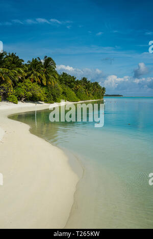 Maledives, Ari Atoll, Nalaguraidhoo, Sun Island, la vegetazione e la spiaggia Foto Stock