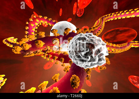 3D reso illustrazione di un virus Ebola a combattere con la difesa di leucociti di cellule nel sangue ruscello circondato da cellule degli eritrociti Foto Stock