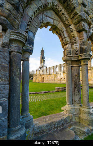 Vista delle rovine di St Andrews nella Cattedrale di St Andrews Fife, Scozia, Regno Unito Foto Stock