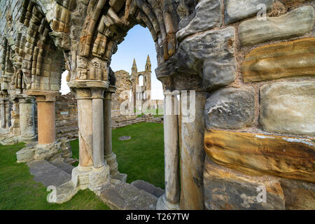 Vista delle rovine di St Andrews nella Cattedrale di St Andrews Fife, Scozia, Regno Unito Foto Stock