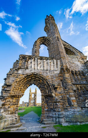 Vista delle rovine di St Andrews nella Cattedrale di St Andrews Fife, Scozia, Regno Unito Foto Stock