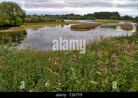 Kingsbury Water Park, North Warwickshire, Inghilterra, Regno Unito Foto Stock