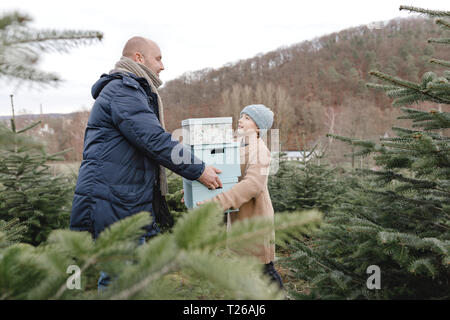 Padre e figlio che trasportano confezioni regalo su di un albero di Natale di piantagione Foto Stock