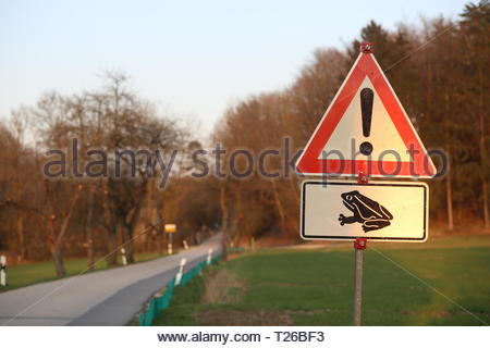 Un triangolare segno rosso driver avverte del pericolo delle rane attraversando la strada in primavera Foto Stock