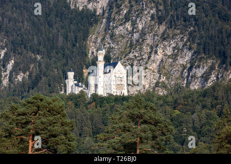 Il Castello di Neuschwanstein visto dalla Swan Lake Park Foto Stock