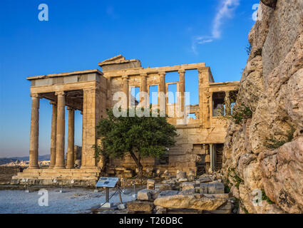 Portico del tempio di Poseidone, parte di Erechtheion, sacro albero di olivo, le pareti del tempio di Athena Polias sulla Acropoli di Atene, Grecia contro il cielo blu Foto Stock