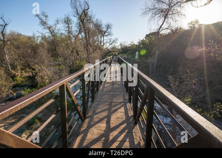 La passerella sull'Oak Canyon Trail. Missione sentieri del Parco Regionale, San Diego, California, USA. Foto Stock