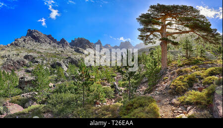 Nel tardo pomeriggio sulla GR 20 sentiero escursionistico Vicino Asco (Corsica) Foto Stock