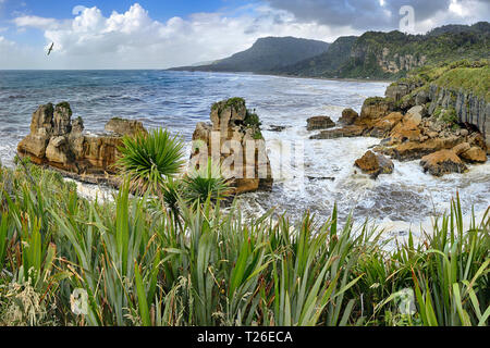 La costa vicino a Pancake Rocks, Nuova Zelanda - panorama HDR Foto Stock