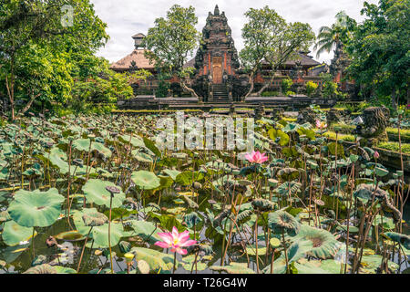 Giardino con sacro in fiore fiori di loto nella parte anteriore del Lotus (Saraswati) Tempio in Ubud, Bali Foto Stock