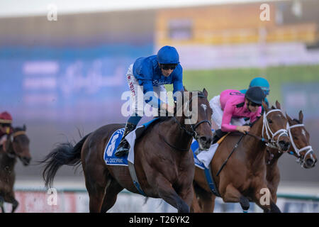 Dubai, STATI UNITI D'AMERICA. 30 Mar, 2019. MEYDAN, EMIRATI ARABI UNITI '"' marzo 30: punto blu, cavalcato da William Buick vince il gruppo 2 Al Quoz Sprint su Dubai World Cup notte all Ippodromo di Meydan negli Emirati Arabi Uniti. Michael McInally/Eclipse Sportswire/CSM/Alamy Live News Foto Stock