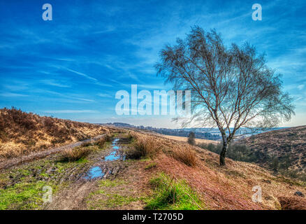 Barbrook, Derbyshire, Regno Unito. Il 30 marzo, 2019. Regno Unito Meteo: Azzurro cielo in un giorno caldo e soleggiato nella valle Barbrook, Peak District. HDR fotografia paesaggistica. Credito: Doug Blane/Alamy Live News Foto Stock