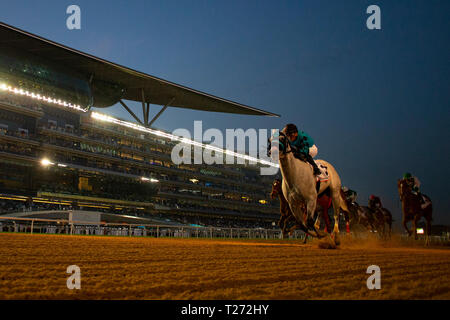 Meydan, Dubai, STATI UNITI D'AMERICA. 30 Mar, 2019. DUBAI, Emirati Arabi Uniti - 30 Marzo: X Y Jet, cavalcato da Emisael Jaramillo, vince il Dubai Golden Shaheen all Ippodromo di Meydan su Marzo 30, 2019 a Dubai, Emirati Arabi Uniti. Kaz Ishida/Eclipse Sportswire/CSM/Alamy Live News Foto Stock