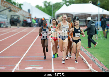 Texas, Stati Uniti d'America. Marzo 30, 2019: Mackenzie Andrews #1017 con Akron in azione le donne 1500 metro eseguire la sezione Un univ/Coll a Clyde Littlefield Texas relè, Mike Myers A. Stadium. Austin, Texas. Mario Cantu/CSM Credito: Cal Sport Media/Alamy Live News Foto Stock