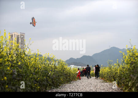 Pechino, Cina Guizhou. 30 Mar, 2019. I turisti passeggiare tra i campi di fiori di cole in Yuqing County, a sud-ovest della Cina di Guizhou, 30 marzo 2019. Credito: Yang Wenbin/Xinhua/Alamy Live News Foto Stock