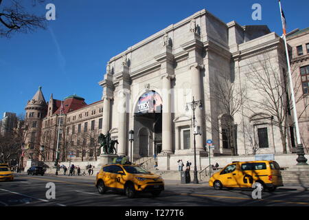 New York, Stati Uniti d'America. 27 Mar, 2019. Il Museo Americano di Storia Naturale (AMNH) in New York. Il Museo di Storia Naturale, uno dei più grandi e più visitato al mondo, sarà 150 anni sul 06.04.2019. Credito: Christina Horsten/dpa/Alamy Live News Foto Stock