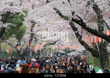 Tokyo, Giappone. 30 Mar, 2019. Persone passeggiata sotto completamente fiorì Fiori Ciliegio al Parco di Ueno a Tokyo il sabato 30 marzo, 2019. Credito: Yoshio Tsunoda/AFLO/Alamy Live News Foto Stock