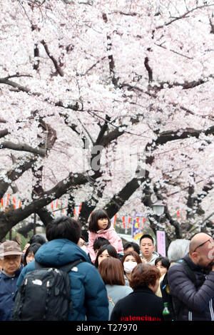 Tokyo, Giappone. 30 Mar, 2019. Persone passeggiata sotto completamente fiorì Fiori Ciliegio al Parco di Ueno a Tokyo il sabato 30 marzo, 2019. Credito: Yoshio Tsunoda/AFLO/Alamy Live News Foto Stock